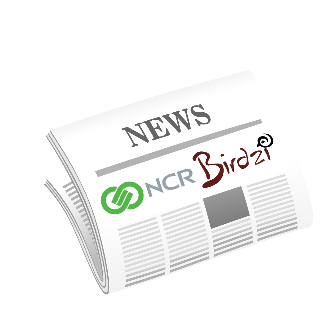 Birdzi Integrates with NCR’s Loyalty System to Improve Grocers’ Personalization Efforts